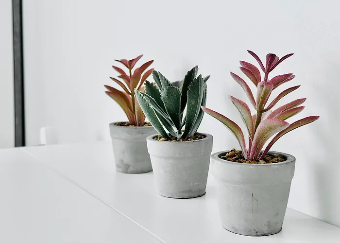 Katariina Apartamento Kotka