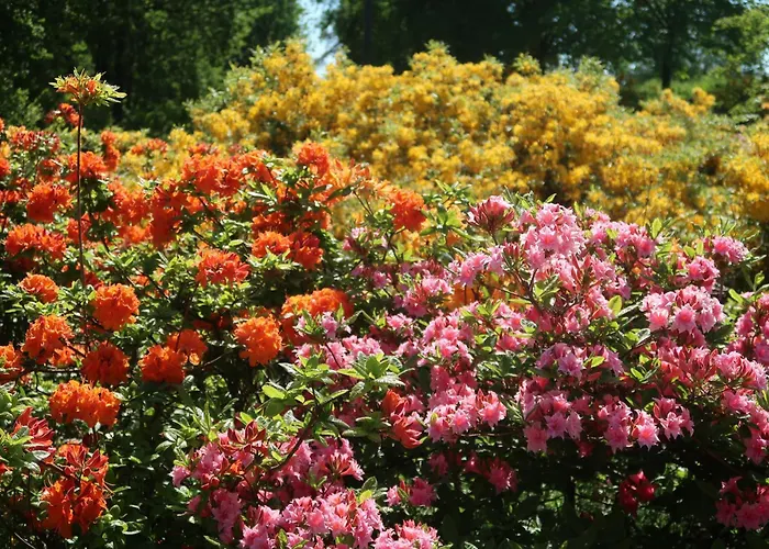 Katariina Apartamento